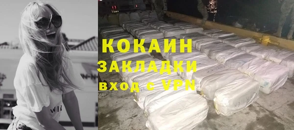 твердый Бикин