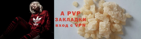 mdpv Новодвинск