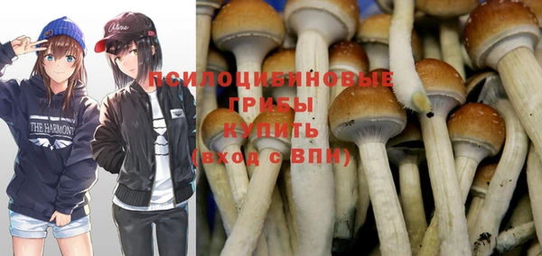 не бодяженный Няндома